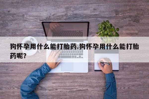 卖正品米索前列醇片微信狗怀孕用什么能打胎药.狗怀孕用什么能打胎药呢？