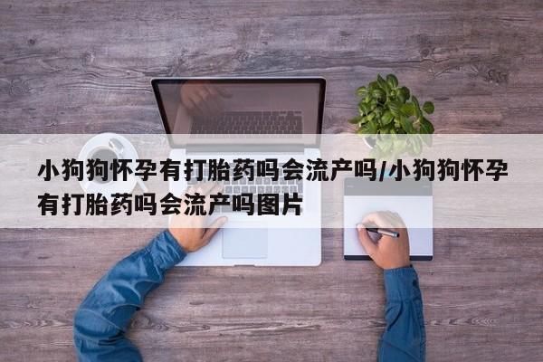 卖正品米索前列醇片微信小狗狗怀孕有打胎药吗会流产吗/小狗狗怀孕有打胎药吗会流产吗图片