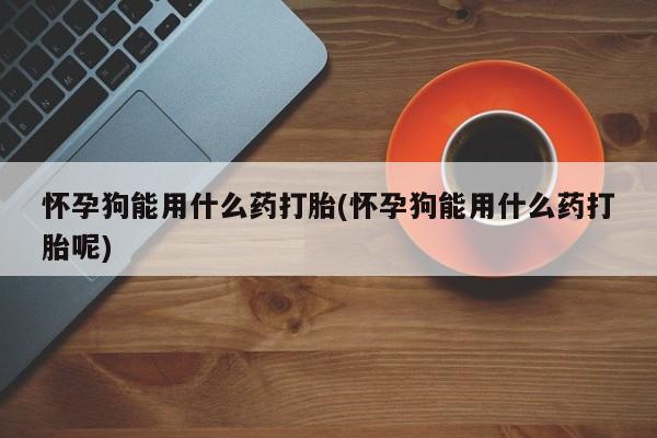 卖正品米索前列醇片微信怀孕狗能用什么药打胎(怀孕狗能用什么药打胎呢)