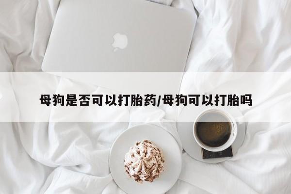 卖正品米索前列醇片微信母狗是否可以打胎药/母狗可以打胎吗